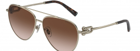 Tiffany & Co TF 3092 Sunglasses