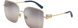 Tiffany & Co TF 3094 Sunglasses