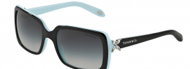 Tiffany & Co TF 4047B Sunglasses