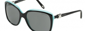 Tiffany & Co TF 4076 Sunglasses