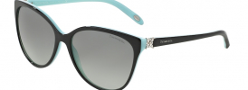 Tiffany & Co TF 4089B Sunglasses