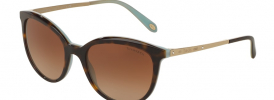 Tiffany & Co TF 4117B Sunglasses