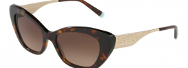 Tiffany & Co TF 4158 Sunglasses