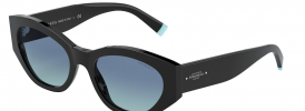 Tiffany & Co TF 4172 Sunglasses
