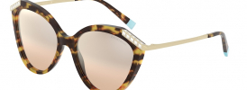 Tiffany & Co TF 4173B Sunglasses