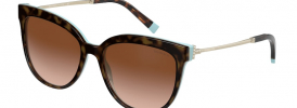 Tiffany & Co TF 4176 Sunglasses
