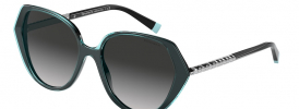 Tiffany & Co TF 4179B Sunglasses