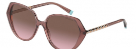 Tiffany & Co TF 4179B Sunglasses