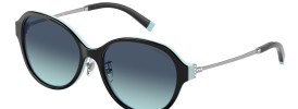 Tiffany & Co TF 4181D Sunglasses