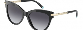 Tiffany & Co TF 4182 Sunglasses