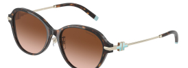 Tiffany & Co TF 4188D Sunglasses