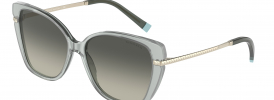 Tiffany & Co TF 4190 Sunglasses