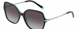 Tiffany & Co TF 4191 Sunglasses