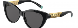 Tiffany & Co TF 4196 Sunglasses