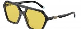 Tiffany & Co TF 4198 Sunglasses