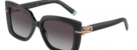 Tiffany & Co TF 4199 Sunglasses