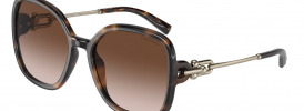 Tiffany & Co TF 4202U Sunglasses