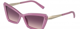 Tiffany & Co TF 4203 Sunglasses