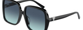 Tiffany & Co TF 4211D Sunglasses
