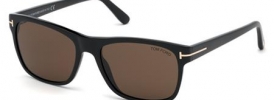 Tom Ford FT 0698 GIULIO Sunglasses