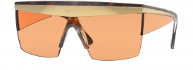Versace VE 2254 Sunglasses