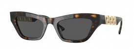 Versace VE 4419 Sunglasses