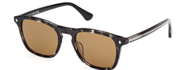 Web Eyewear WE 0365 Sunglasses