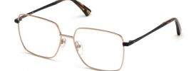 Web Eyewear WE 5316 Prescription Glasses