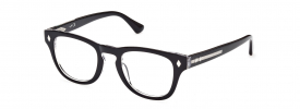 Web Eyewear WE 5384 Glasses