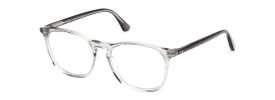 Web Eyewear WE 5419 Glasses