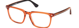 Web Eyewear WE 5430 Glasses