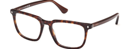 Web Eyewear WE 5430 Glasses