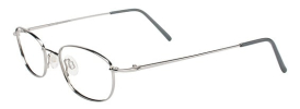 Flexon 601 Glasses