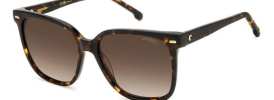 Carrera CARRERA 3002/S Sunglasses