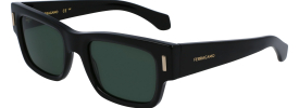 Salvatore Ferragamo SF 2011S Sunglasses