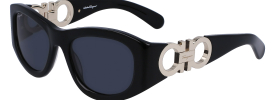 Salvatore Ferragamo SF 1082S Sunglasses