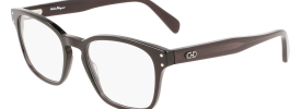 Salvatore Ferragamo SF 2925 Glasses