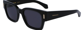 Salvatore Ferragamo SF 2010S Sunglasses