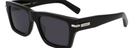 Salvatore Ferragamo SF 2033S Sunglasses