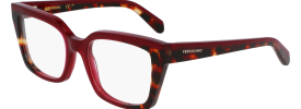 (654) OPALINE BURGUNDY/RED TORTOISE