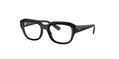 Ray-Ban Leonid Glasses