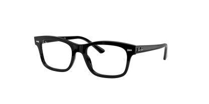Ray-Ban MR Burbank Glasses
