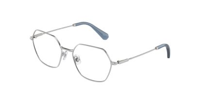 Swarovski SK1011 Glasses