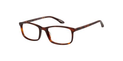 O'Neill ONO-4522 Glasses