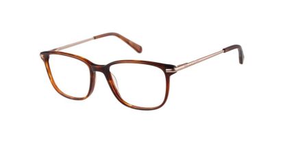 Radley RDO-6048 Glasses