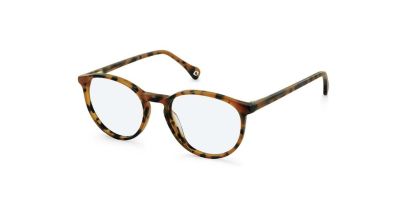 Eyestuff Cookie Glasses