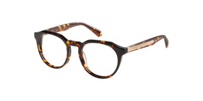 Superdry SDO-3013 Glasses
