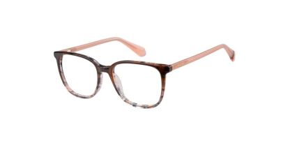 Superdry SDO-3023 Glasses