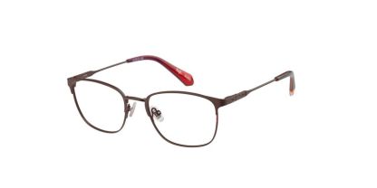 Superdry Fuji Glasses