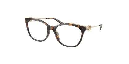MK 4076U Michael Kors Glasses